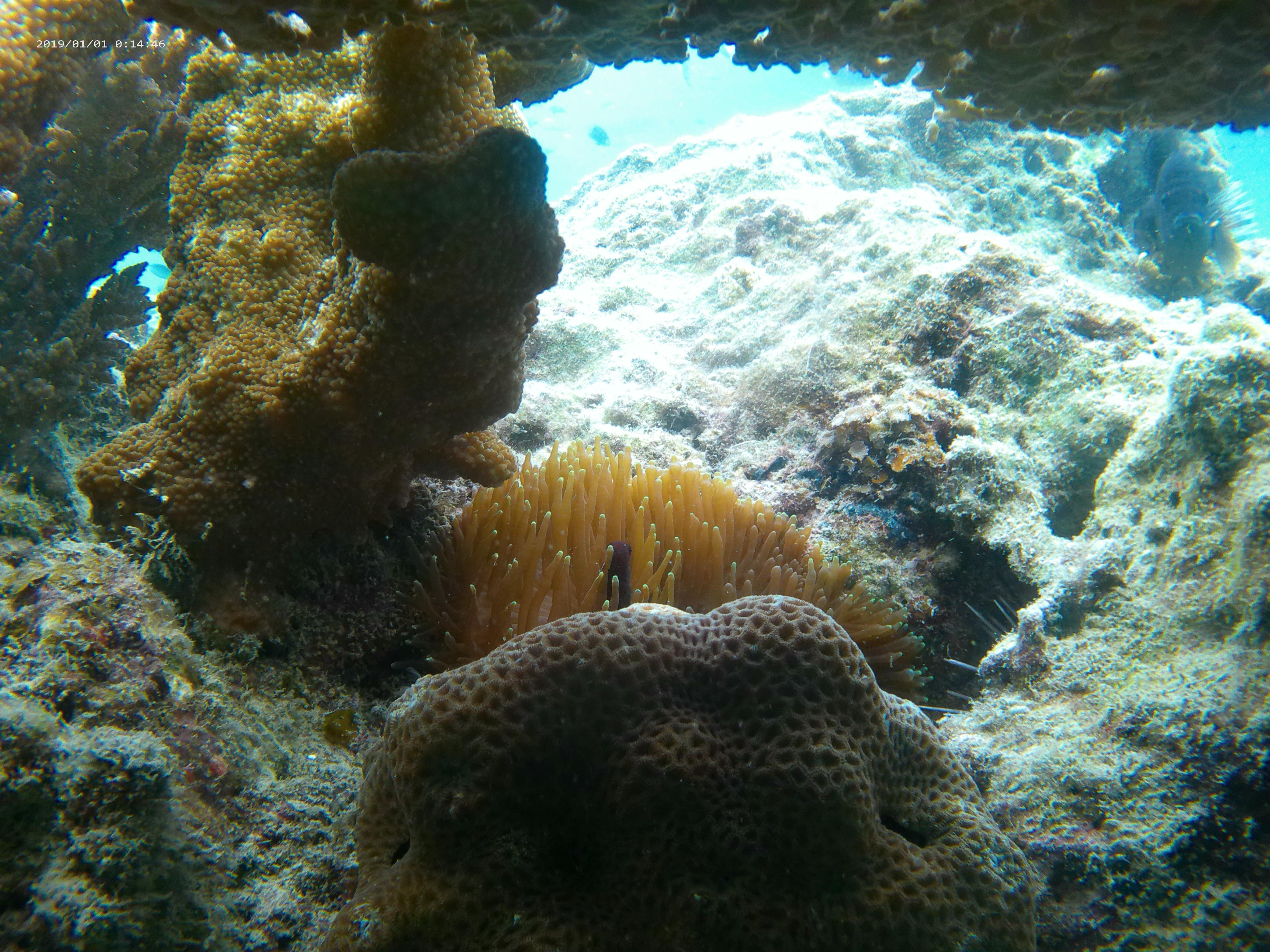 Pulau Pari 2